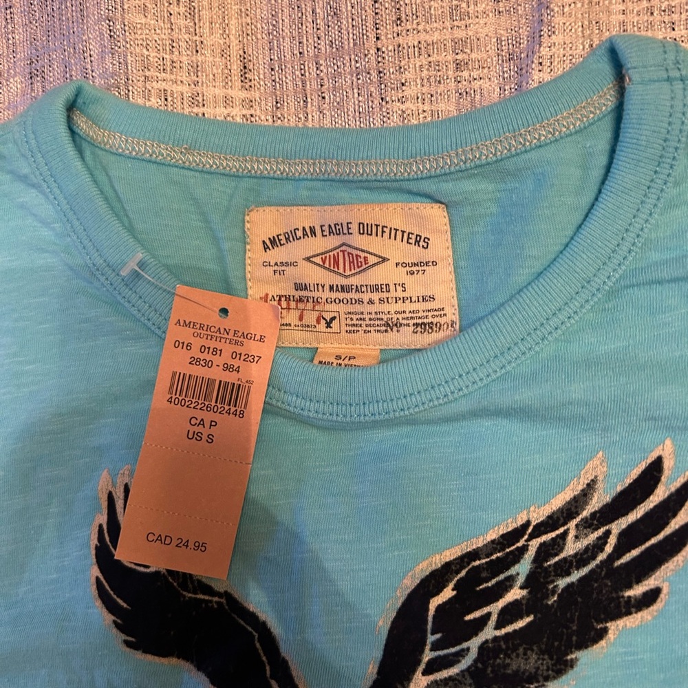 American Eagle Outfitters Teal Graphic Tee